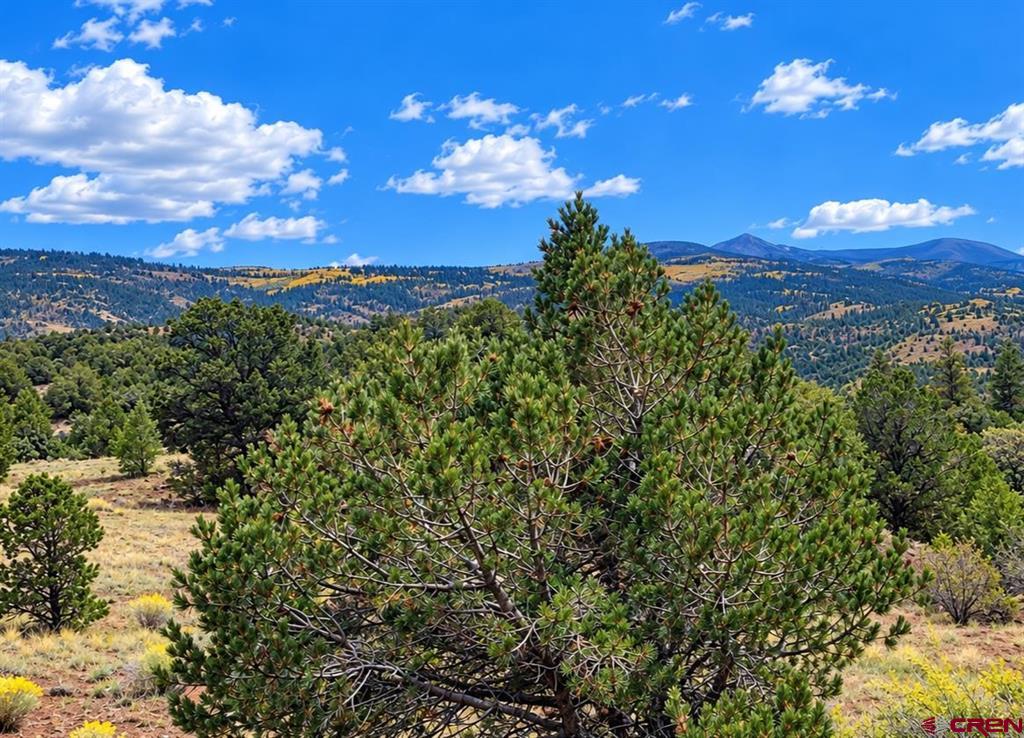 398 Wild Horse Trail South Fork CO 81154