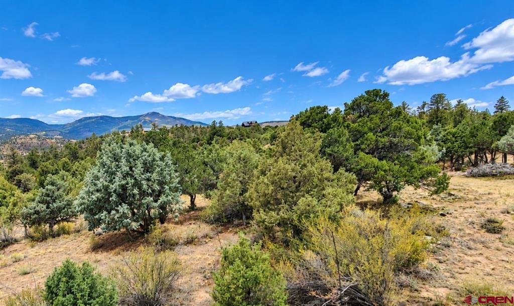 398 Wild Horse Trail South Fork CO 81154