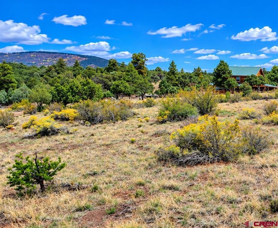 398 Wild Horse Trail South Fork CO 81154