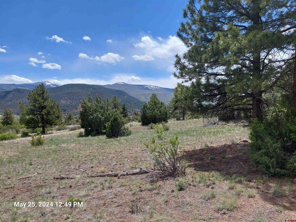 548 Blanca Vista Drive South Fork CO 81154
