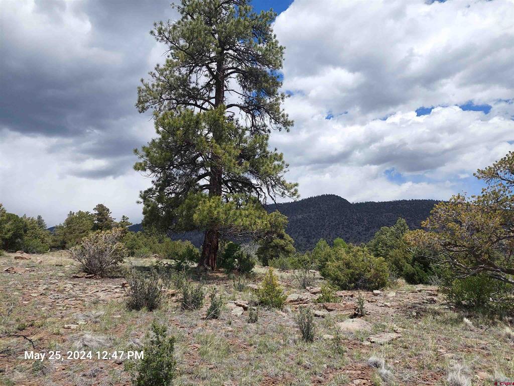 548 Blanca Vista Drive South Fork CO 81154