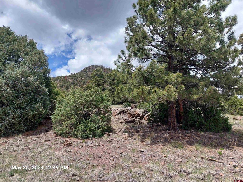 548 Blanca Vista Drive South Fork CO 81154