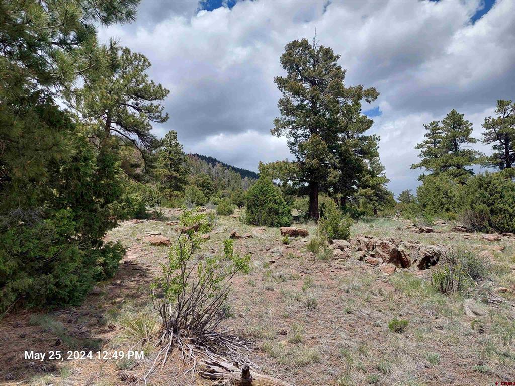 548 Blanca Vista Drive South Fork CO 81154