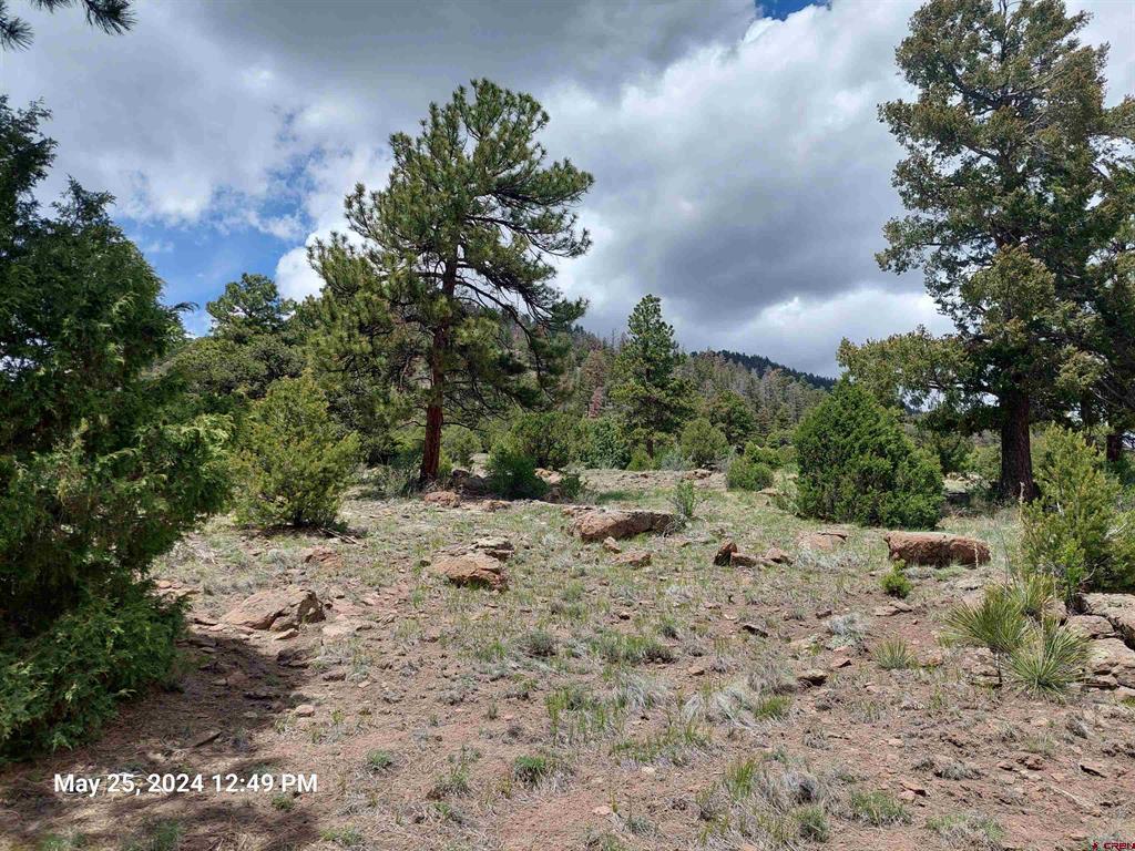 548 Blanca Vista Drive South Fork CO 81154