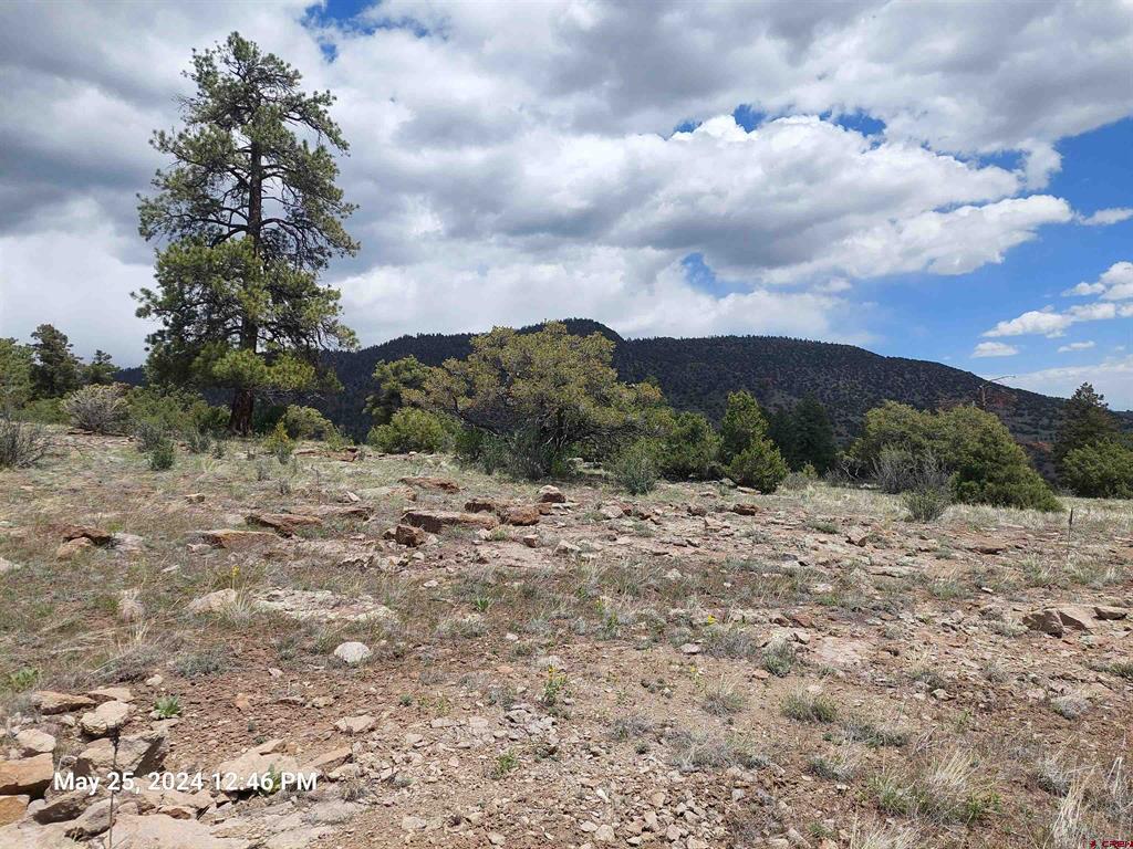 548 Blanca Vista Drive South Fork CO 81154