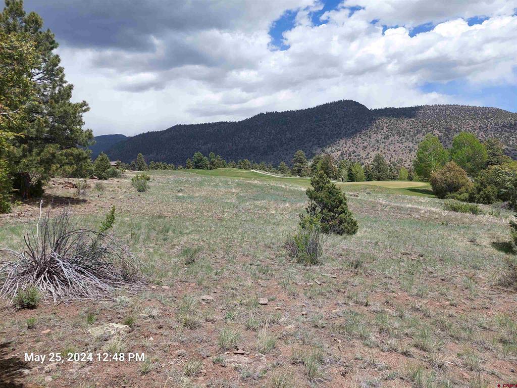 548 Blanca Vista Drive South Fork CO 81154