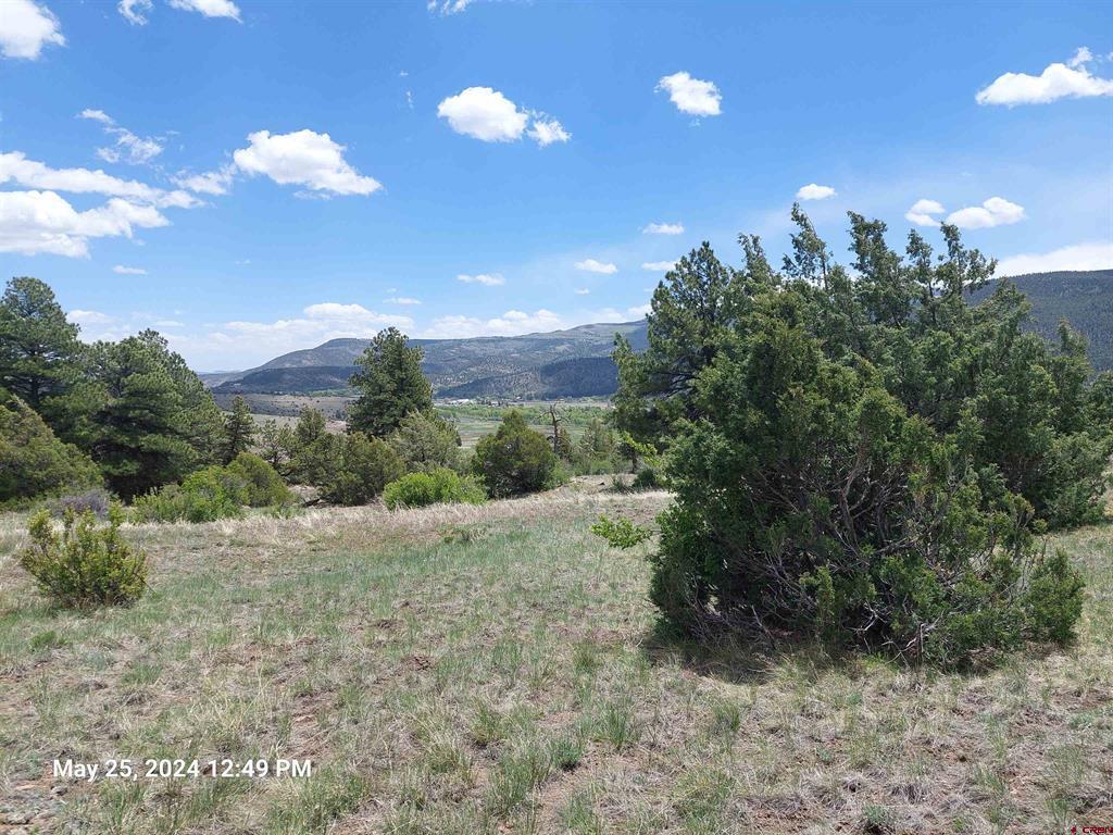 548 Blanca Vista Drive South Fork CO 81154