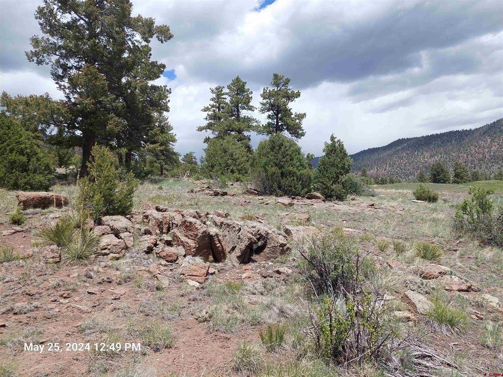 548 Blanca Vista Drive South Fork CO 81154