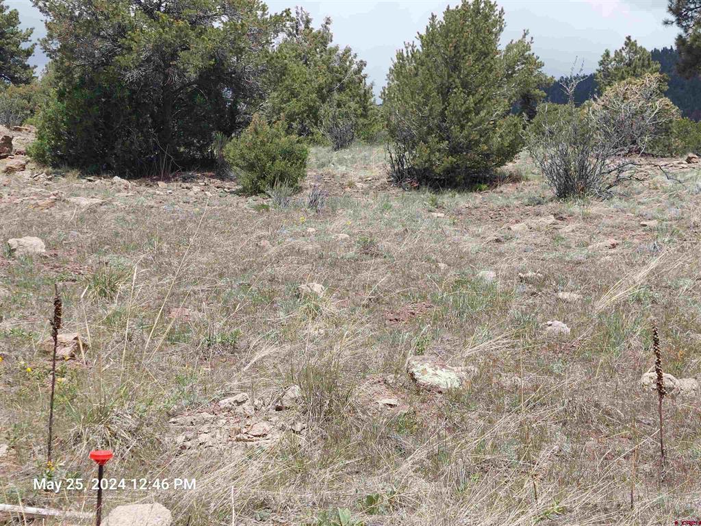 548 Blanca Vista Drive South Fork CO 81154