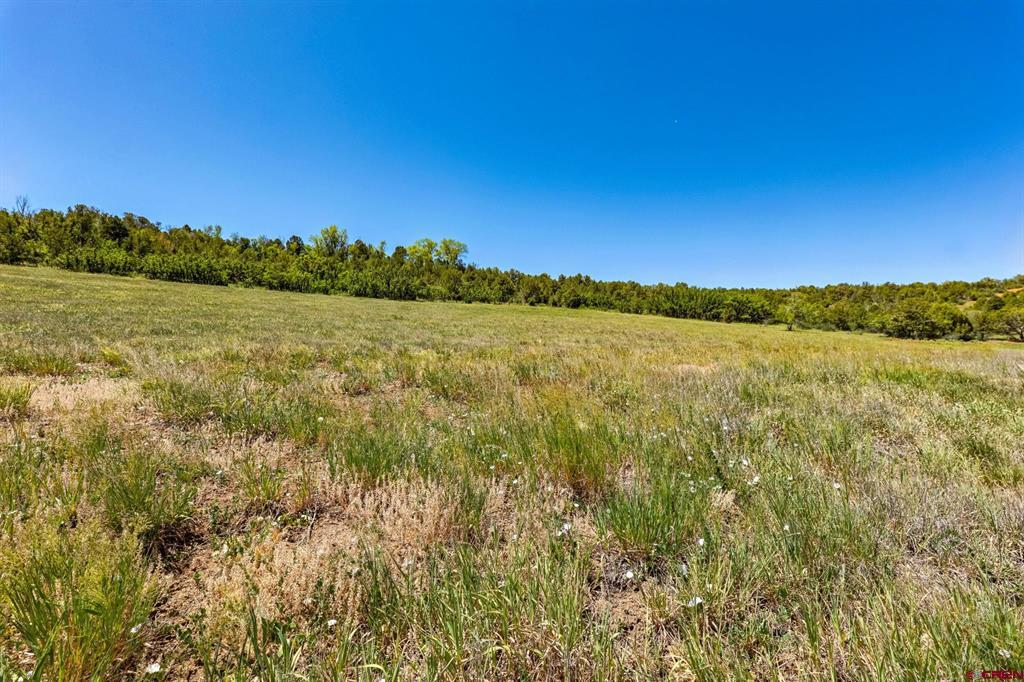 200 Angels Landing Way Durango CO 81303