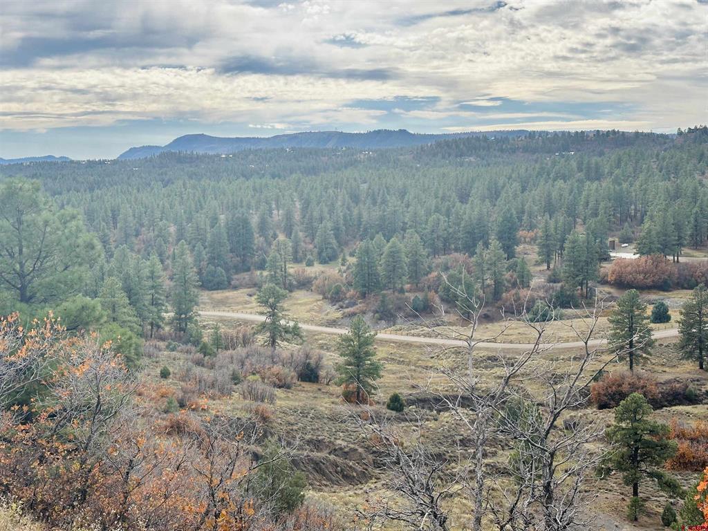 Pagosa Springs CO, 633 Mccabe