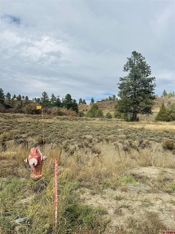 633 E Mccabe Street Pagosa Springs CO 81147