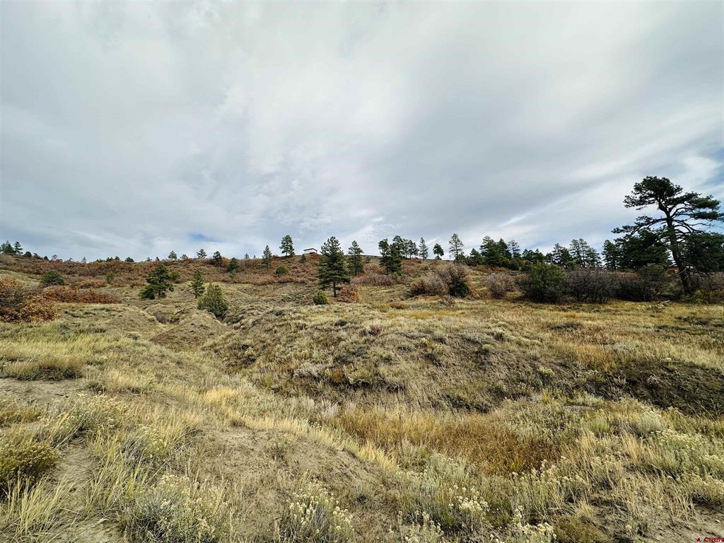 633 E Mccabe Street Pagosa Springs CO 81147