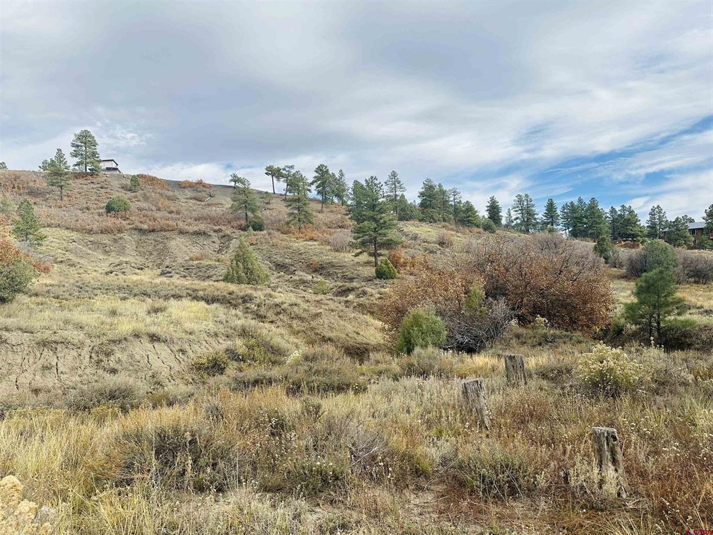 633 E Mccabe Street Pagosa Springs CO 81147