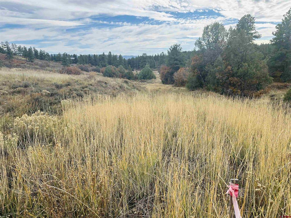 633 E Mccabe Street Pagosa Springs CO 81147