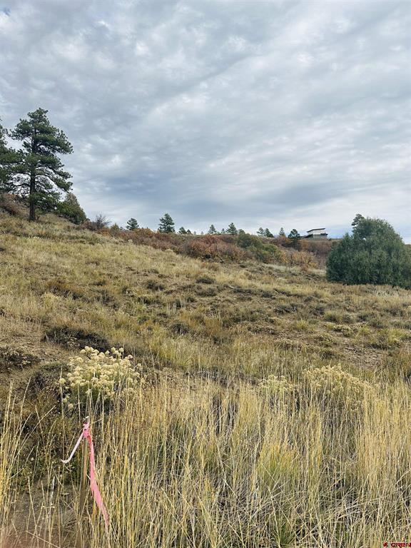 633 E Mccabe Street Pagosa Springs CO 81147