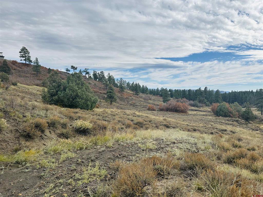 633 E Mccabe Street Pagosa Springs CO 81147