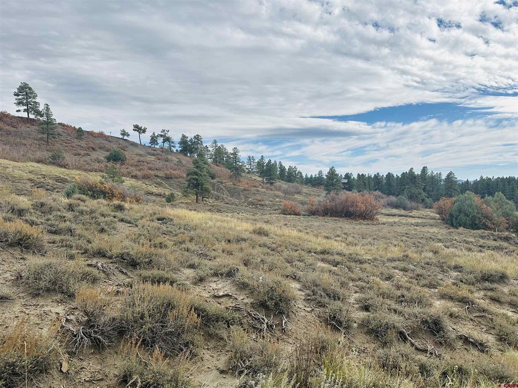 633 E Mccabe Street Pagosa Springs CO 81147