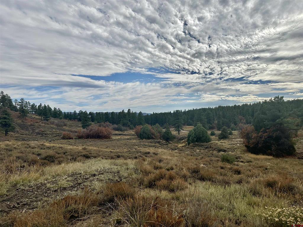 633 E Mccabe Street Pagosa Springs CO 81147