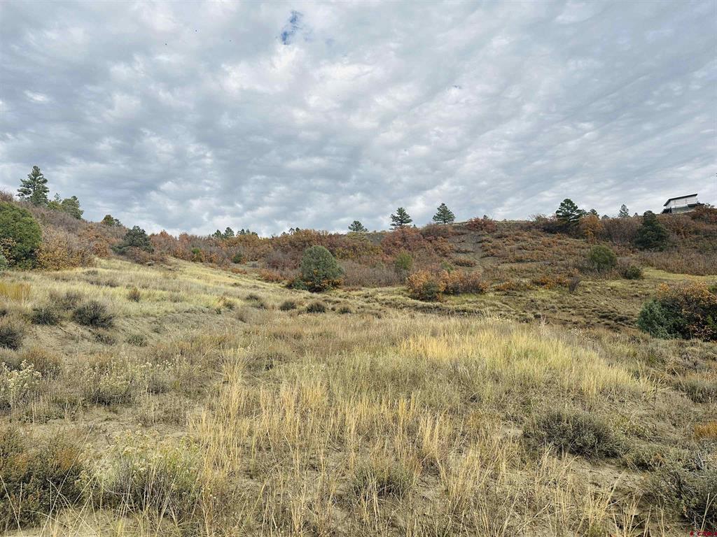 633 E Mccabe Street Pagosa Springs CO 81147