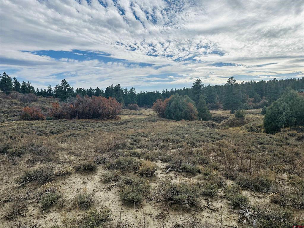 633 E Mccabe Street Pagosa Springs CO 81147