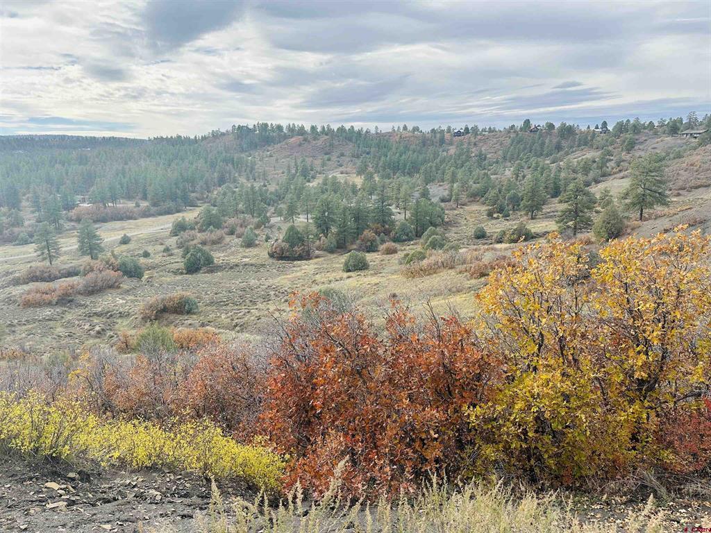 633 E Mccabe Street Pagosa Springs CO 81147