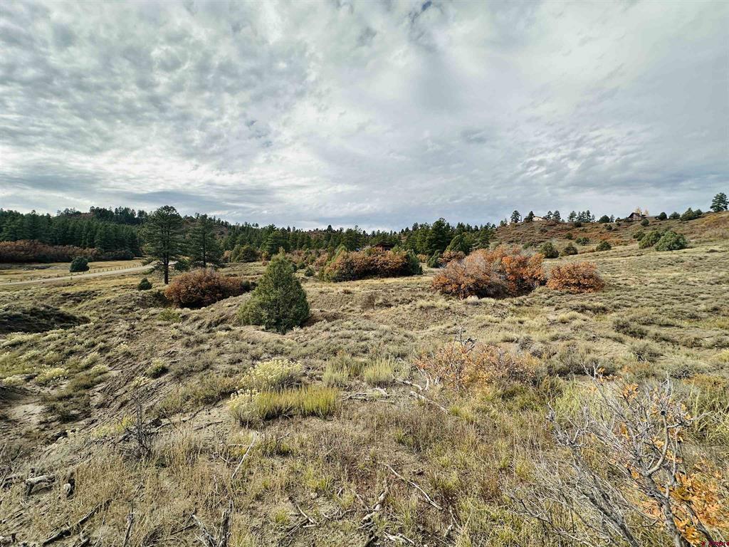 633 E Mccabe Street Pagosa Springs CO 81147