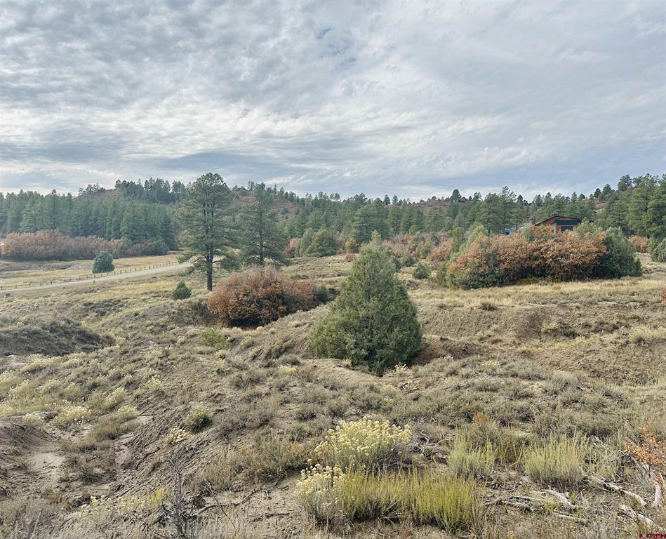 633 E Mccabe Street Pagosa Springs CO 81147
