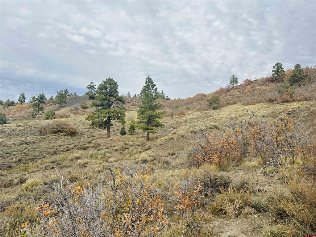 633 E Mccabe Street Pagosa Springs CO 81147