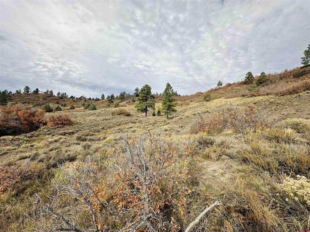 633 E Mccabe Street Pagosa Springs CO 81147