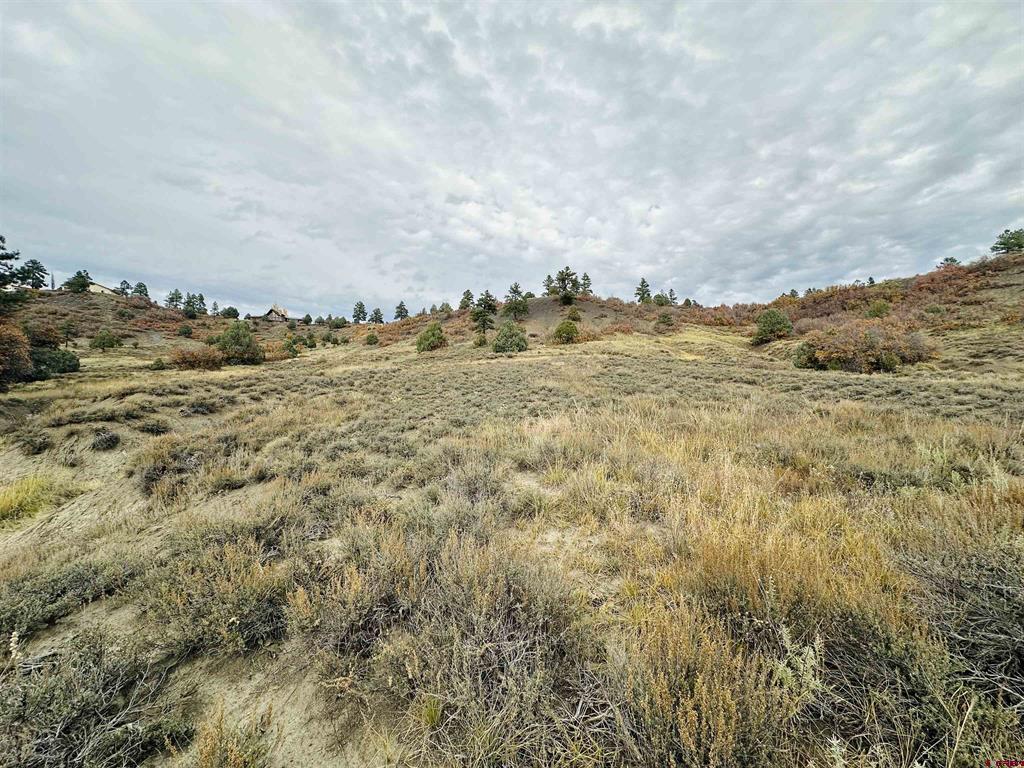 633 E Mccabe Street Pagosa Springs CO 81147