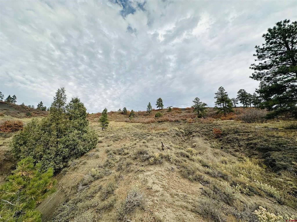 633 E Mccabe Street Pagosa Springs CO 81147