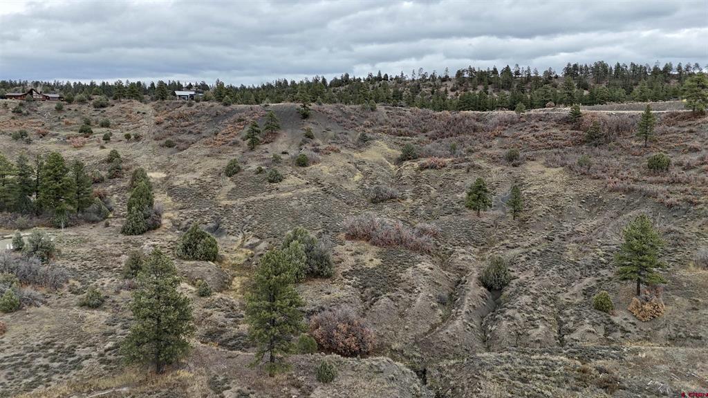 633 E Mccabe Street Pagosa Springs CO 81147