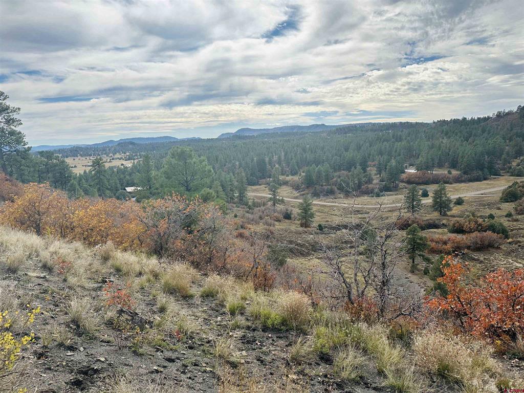 633 E Mccabe Street Pagosa Springs CO 81147