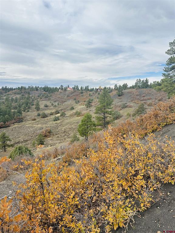 633 E Mccabe Street Pagosa Springs CO 81147