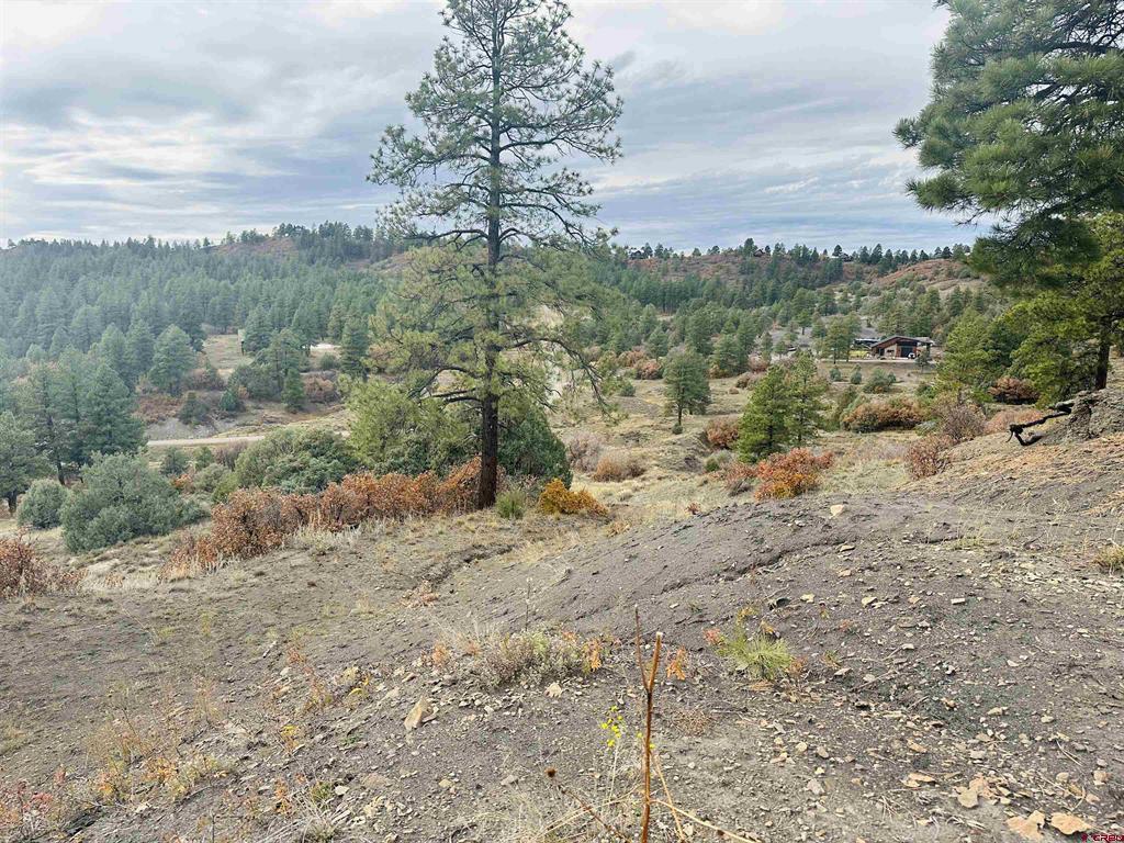 633 E Mccabe Street Pagosa Springs CO 81147