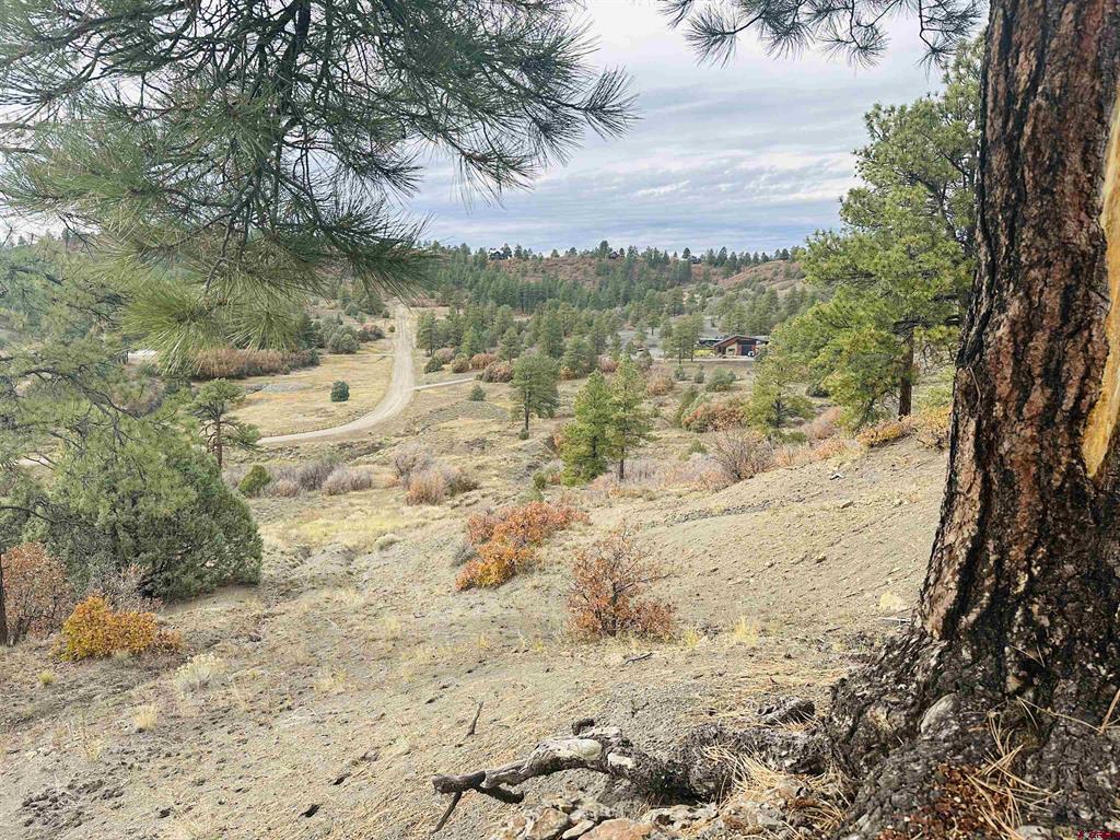 633 E Mccabe Street Pagosa Springs CO 81147