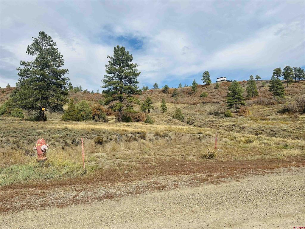 633 E Mccabe Street Pagosa Springs CO 81147