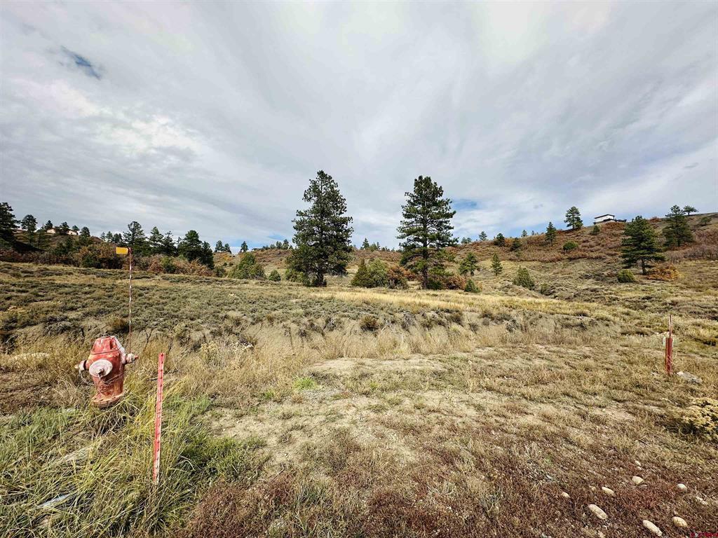 633 E Mccabe Street Pagosa Springs CO 81147