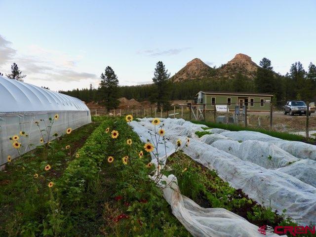 85 Larkspur Street Durango CO 81301