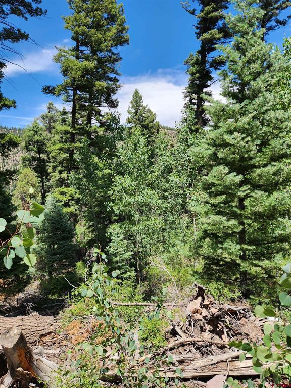 1506 Clarke Mountain Lane Antonito CO 81120