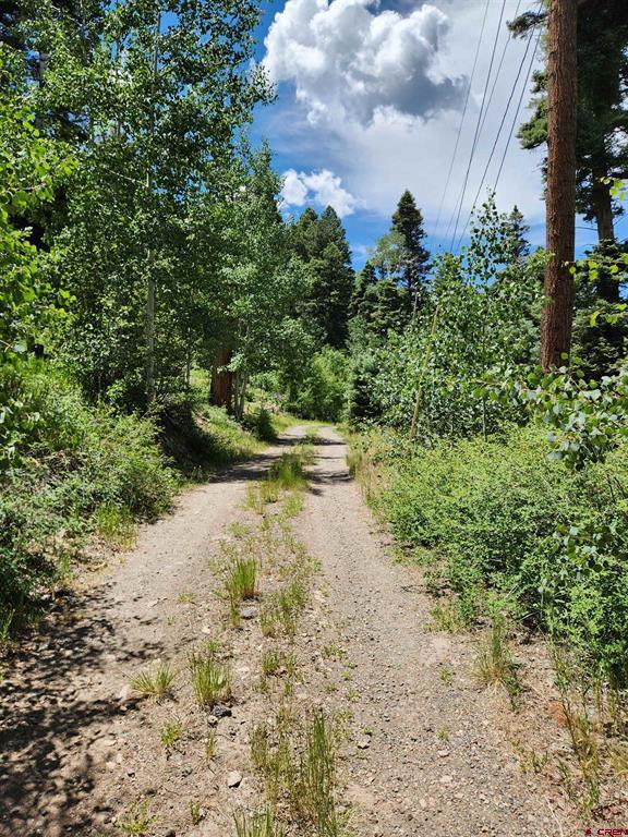 1506 Clarke Mountain Lane Antonito CO 81120