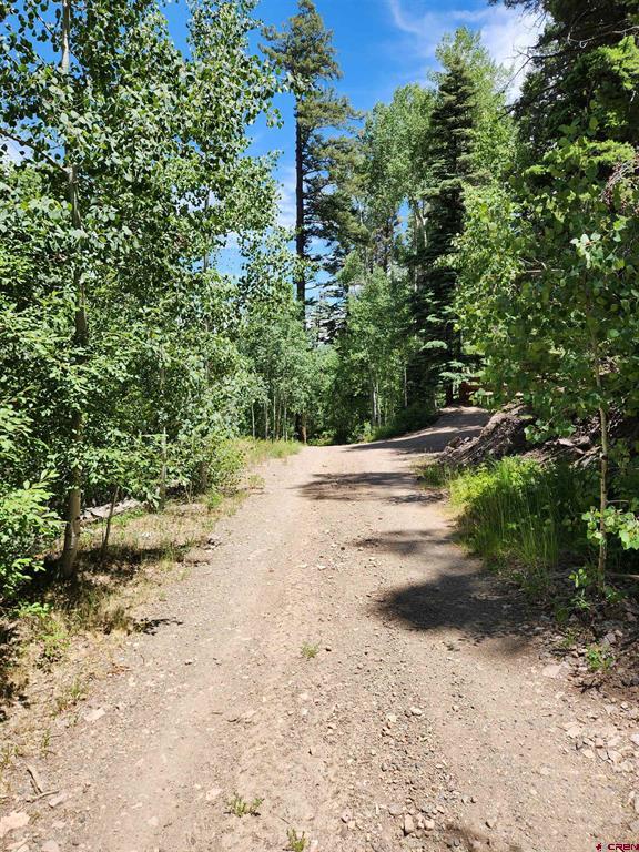 1506 Clarke Mountain Lane Antonito CO 81120