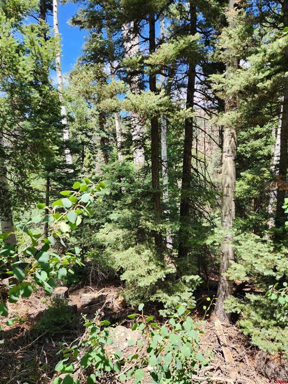 1506 Clarke Mountain Lane Antonito CO 81120