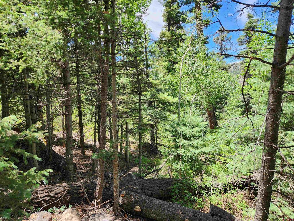 1506 Clarke Mountain Lane Antonito CO 81120