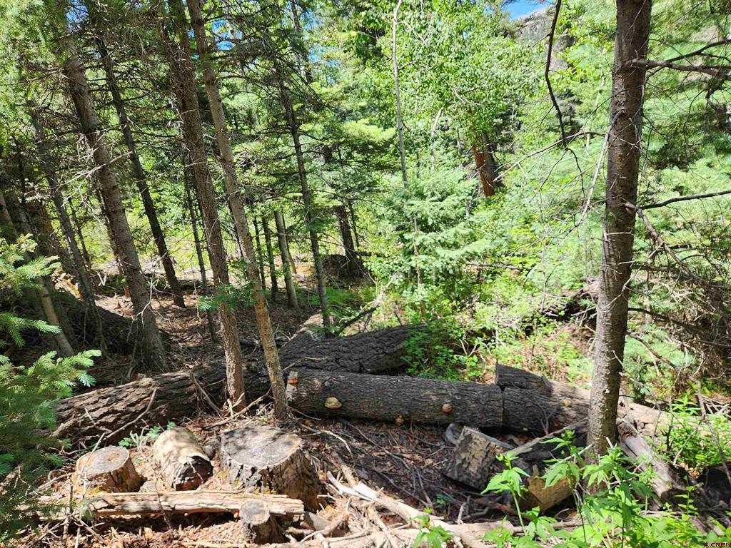 1506 Clarke Mountain Lane Antonito CO 81120