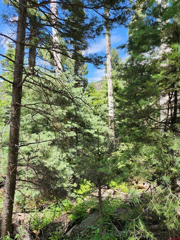 1506 Clarke Mountain Lane Antonito CO 81120