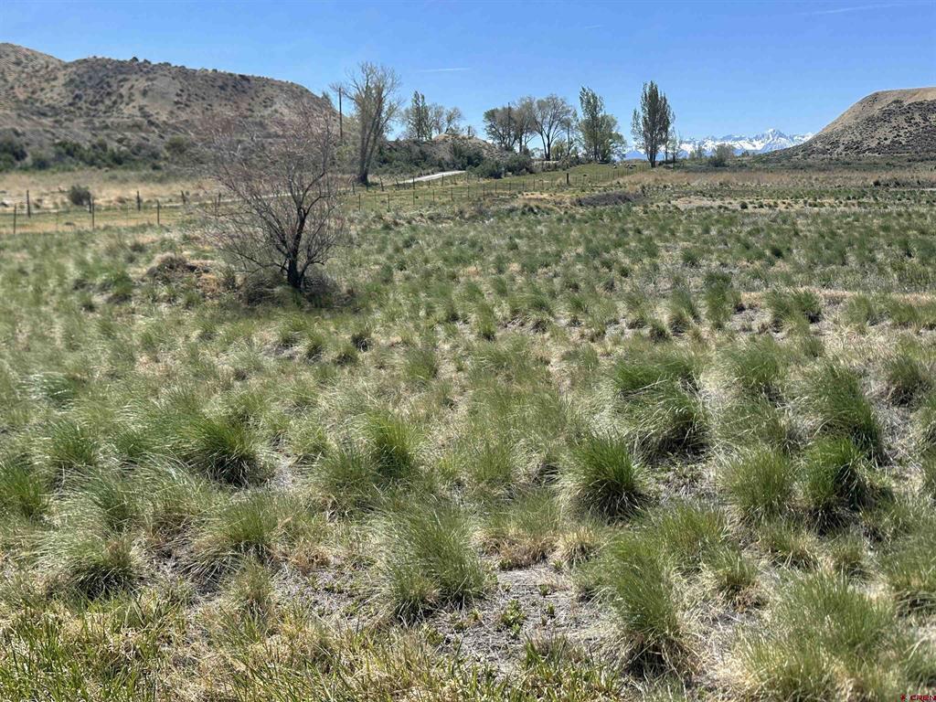 Tbd E Oak Grove Road Montrose CO 81401