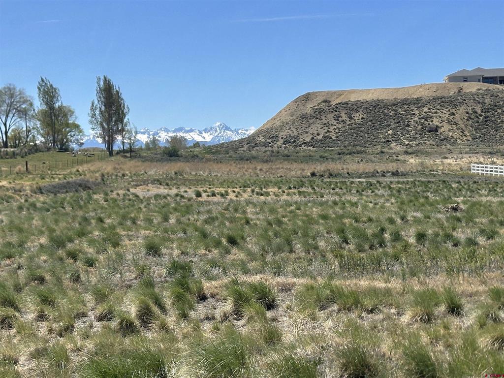 Tbd E Oak Grove Road Montrose CO 81401