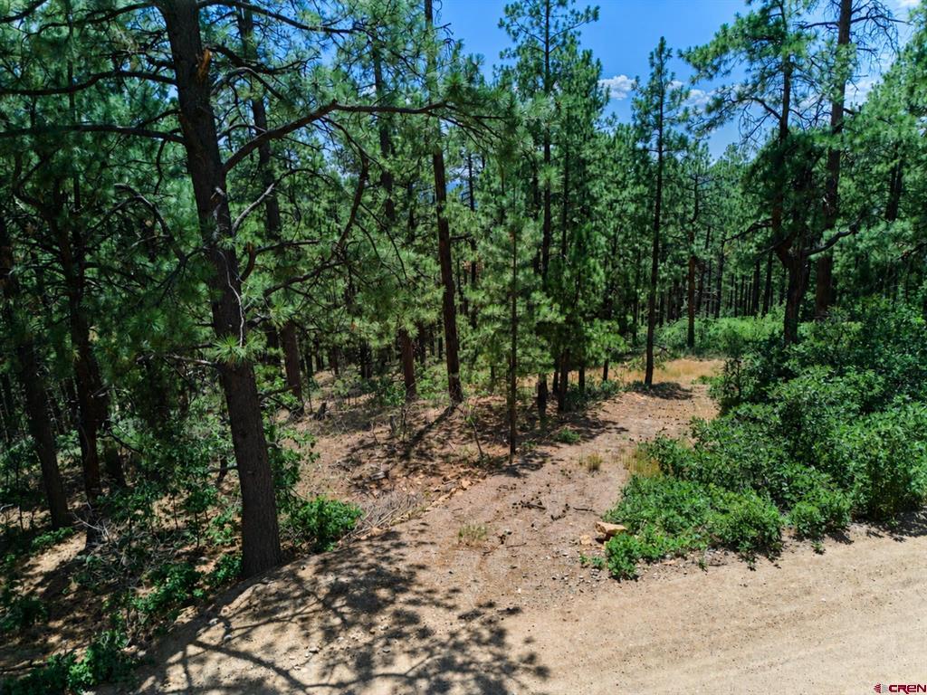 636 E Valley View Drive Bayfield CO 81122